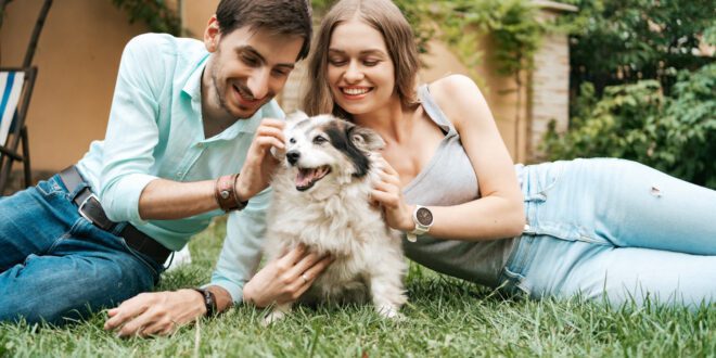 Como funciona a guarda de pets em casos de separação?