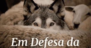 Adendo Apologético: Quando As Heresias Ameaçam A Unidade Da Igreja – Religião