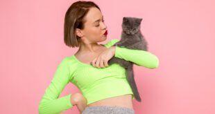 Corrigir o comportamento do seu gato é fundamental para o bem-estar dele