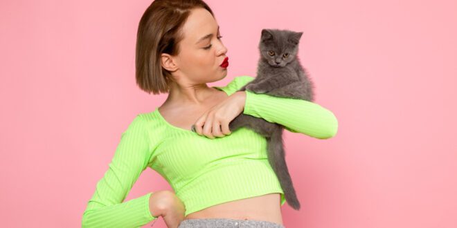 Corrigir o comportamento do seu gato é fundamental para o bem-estar dele