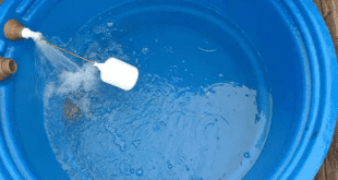 Limpeza de caixas d’agua para evitar contaminações e garantir água de qualidade no verão – CESAN