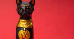 Relação dos gatos com o Egito Antigo é maior do que imaginávamos