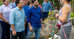 Lei sancionada em Belém (PA) garante alimento e água para cães e gatos em situação de rua