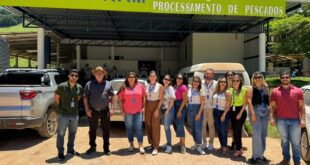 Espírito Santo destina 37% dos recursos da alimentação escolar para agricultores familiares