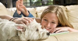 Pets podem ajudar a saúde emocional e o bem-estar das pessoas