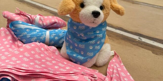 Internos do sistema prisional confeccionam bandanas pets