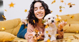 Petlove lança campanha para destacar que, para tutores, o Carnaval dura o ano inteiro