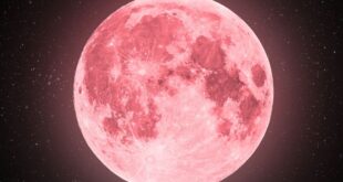 Lua Rosa acontecerá neste domingo (13); entenda o fenômeno