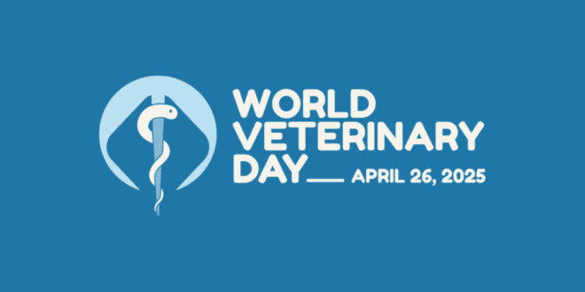 Dia da Medicina Veterinária destaca o trabalho em equipe