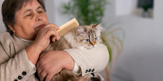 Cuidado geriátrico para cães e gatos: como prolongar a vida?