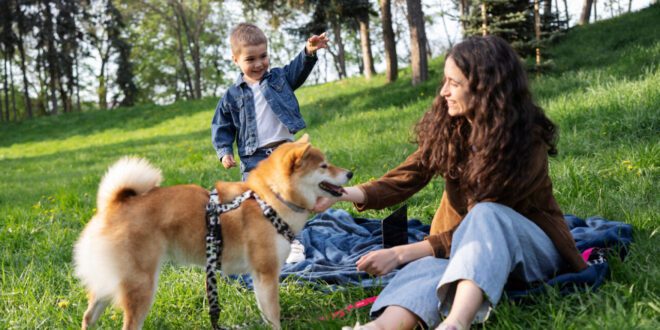 Programa MAIS Sustentável da Special Dog Company