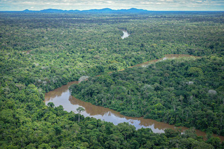 Amazônia.jpeg