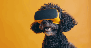Inteligência Artificial, automação e saúde pet são temas centrais em evento de tecnologia