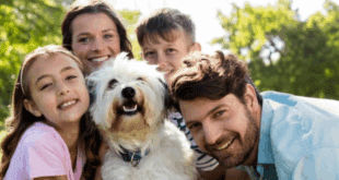 UniCuritiba promove MedVet Day com serviços, adoção e diversão para pets e tutores