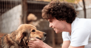 Lisboa lança projeto que promove inclusão social através do treino de cães abandonados