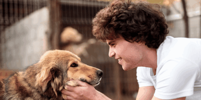 Lisboa lança projeto que promove inclusão social através do treino de cães abandonados