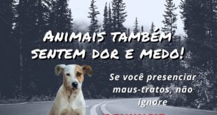 Denúncias pelo Disque-denúncia 181 de Maus-Tratos a Animais Aumentam no ES e Reforçam Ação da Polícia Civil através da Delegacia de Proteção ao Meio Ambiente
