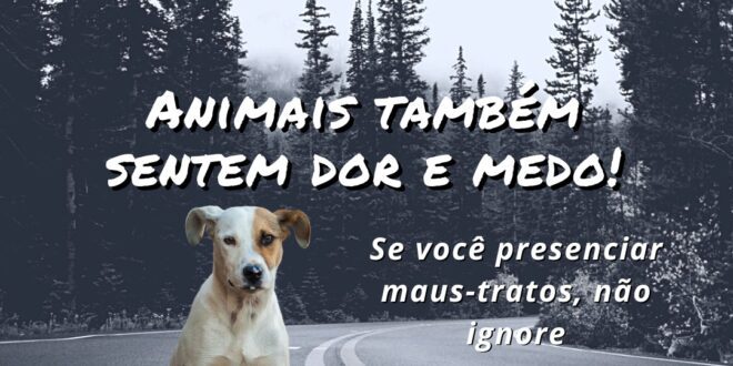 Denúncias pelo Disque-denúncia 181 de Maus-Tratos a Animais Aumentam no ES e Reforçam Ação da Polícia Civil através da Delegacia de Proteção ao Meio Ambiente