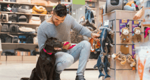 Tutores estão dispostos a pagar mais por alimentos que promovem saúde dos pets