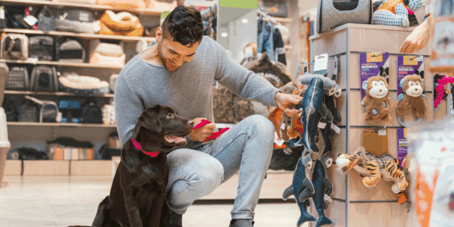 Tutores estão dispostos a pagar mais por alimentos que promovem saúde dos pets