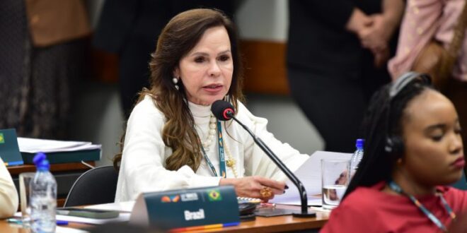 Parlamentares mulheres cobram ações robustas para promover igualdade de gênero no BRICS