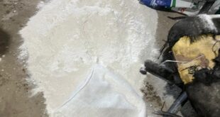 Denarc prende suspeito de tráfico de drogas, em flagrante, em Linhares