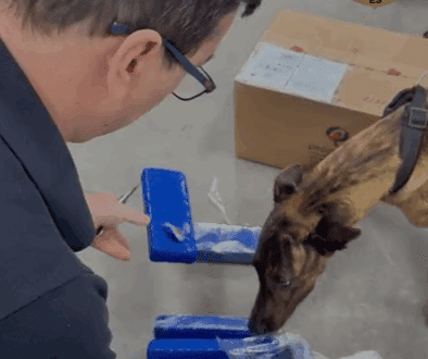 PCES e Correios apreendem 10 quilos de maconha enviados por encomenda em Cachoeiro de Itapemirim