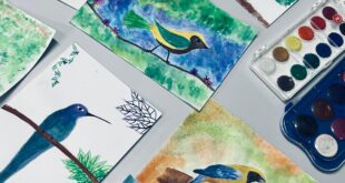 Pintura em aquarela incentiva educação ambiental e expressão artística em escola de Vila Velha