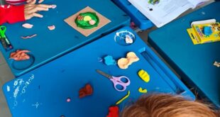 Escola de Vargem Alta realiza projeto de inclusão e acessibilidade no ensino de Ciências