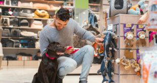 Fusão entre Cobasi e Petz: Qual a influência do recurso da Petlove no processo?