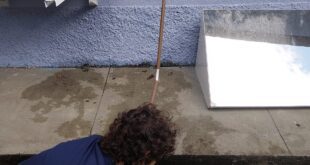 Sustentabilidade na prática: Escola reutiliza água do ar-condicionado para cultivo de plantas
