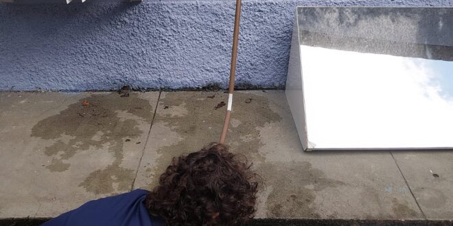 Sustentabilidade na prática: Escola reutiliza água do ar-condicionado para cultivo de plantas