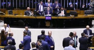 Câmara aprova projeto que proíbe uso de animais em testes de cosméticos