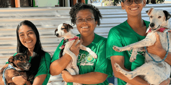 A importância do voluntariado em abrigos de animais: um relato de experiência