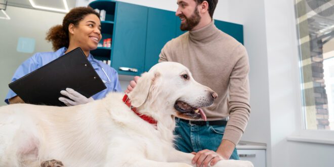 Florianópolis terá em breve o primeiro hospital veterinário público de SC