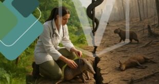 CRMV-RJ critica aprovação do PL 2.159/2021 e aponta riscos à saúde humana e animal e ao meio ambiente