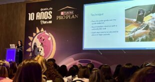 Doenças urinárias de felinos e seus diagnósticos são tema de palestra no Cat In Rio 2025
