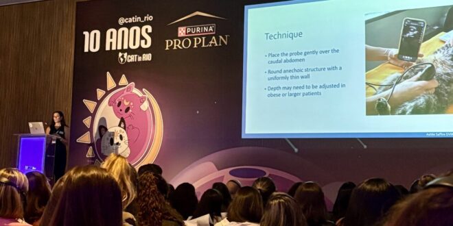 Doenças urinárias de felinos e seus diagnósticos são tema de palestra no Cat In Rio 2025