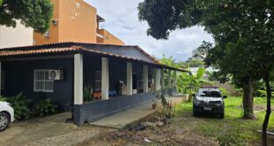 PCES realiza operação de proteção animal e apreende aves, cães e jabutis em Vila Velha