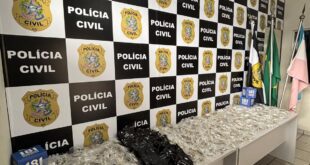 Denarc apreende mais de 400 unidades de cogumelos alucinógenos em Vitória