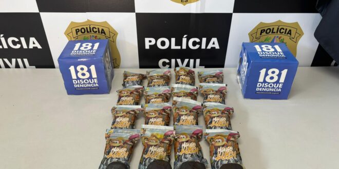 Denarc prende homem por tráfico interestadual de drogas em Domingos Martins