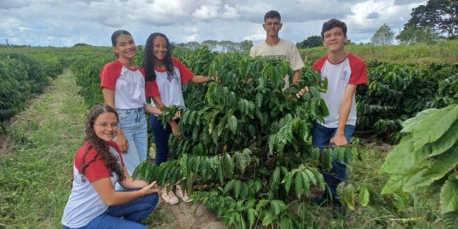 Estudantes de Boa Esperança participam de ação e aprendem sobre etapas do café