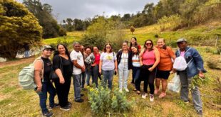 Incaper de Itapemirim promove intercâmbio sobre uso e processamento de plantas medicinais