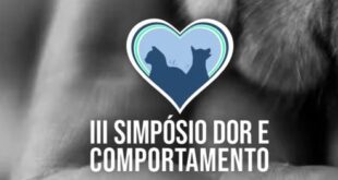 Simpósio Dor e Comportamento 2025 esgota inscrições e já anuncia novidades para 2026 e 2027 – Portal