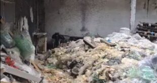 Ação conjunta resgata animais em situação de maus-tratos em Cariacica