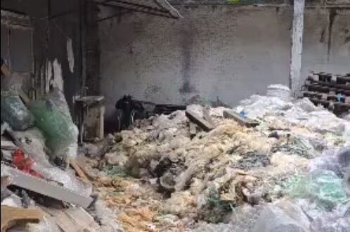 Ação conjunta resgata animais em situação de maus-tratos em Cariacica