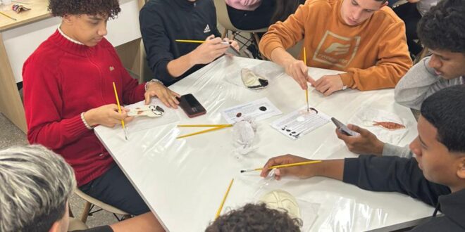Estudantes da Escola Emílio Oscar Hülle exploram arte e ancestralidade em projeto sobre máscaras africanas