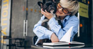 Dezembro Verde Escuro: o mês de conscientização contra o abandono animal – Portal Cães e Gatos