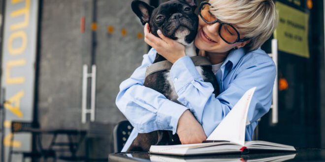 Dezembro Verde Escuro: o mês de conscientização contra o abandono animal – Portal Cães e Gatos