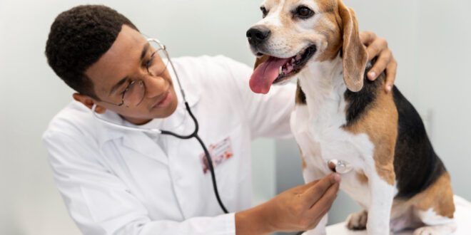 Coronavírus Canino e Parvovirose: quando a diarreia pode indicar doenças diferentes – Portal Cães e